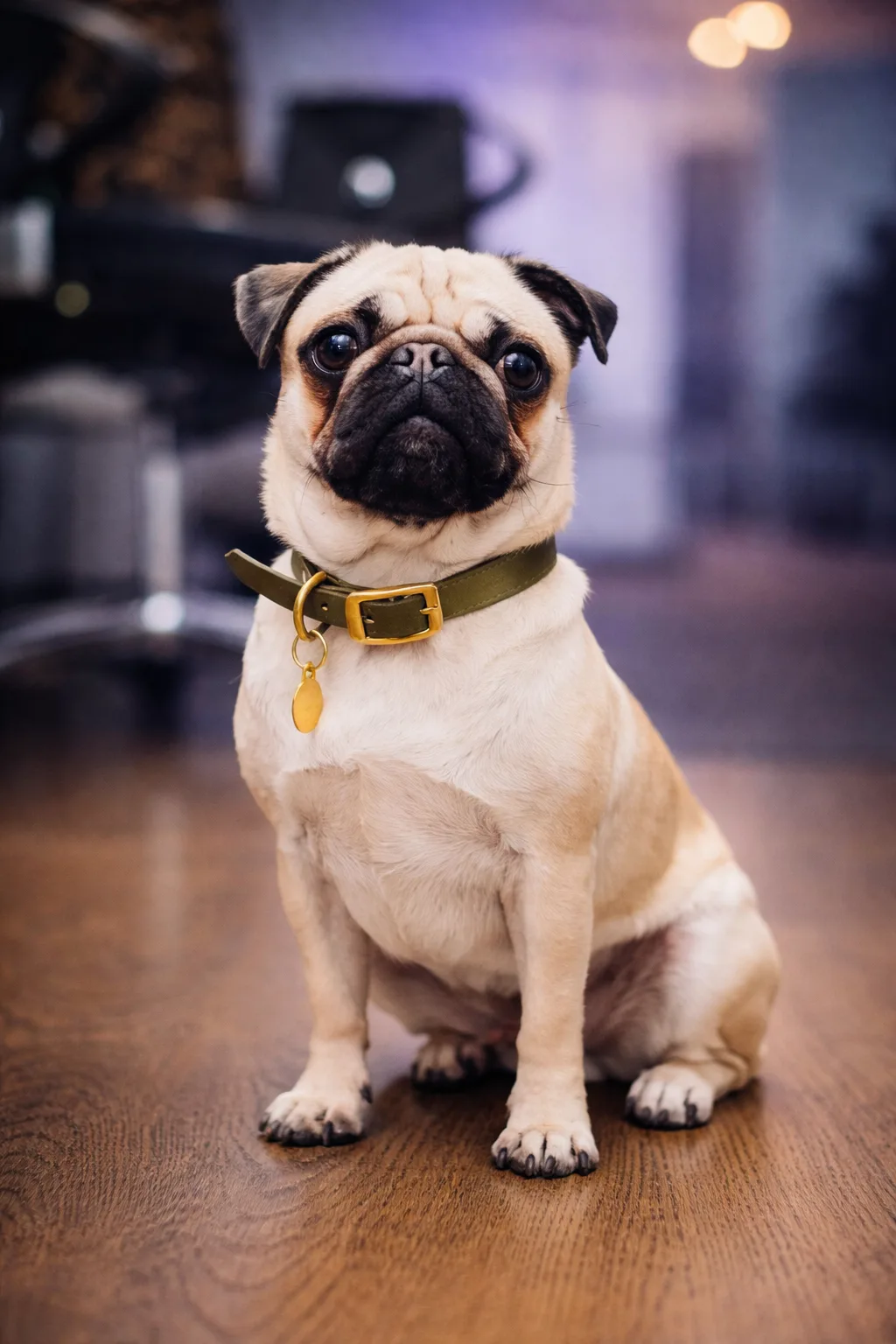 Ella - Chief Happiness Officer at GEO TOOL